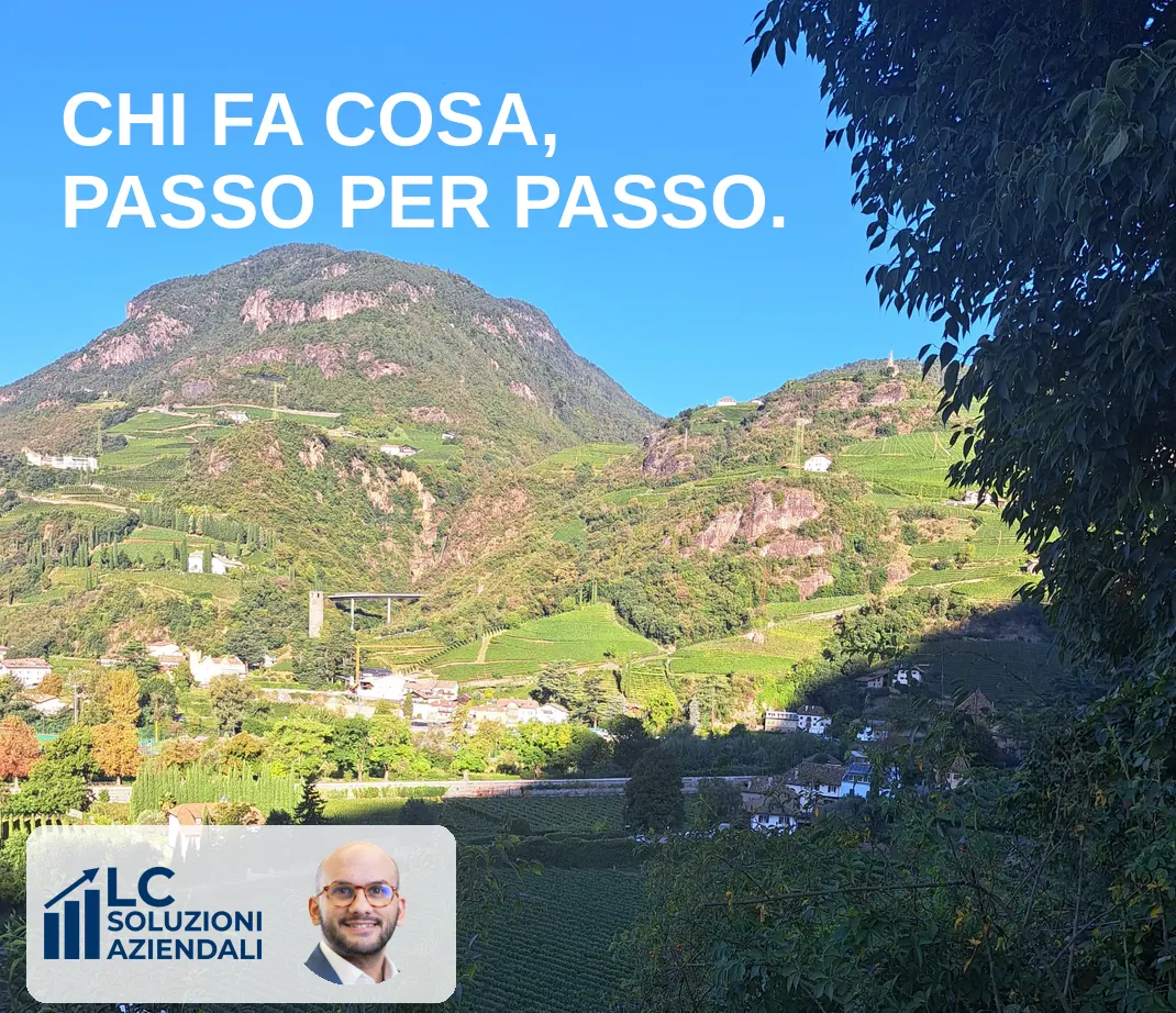Chi fa cosa, passo per passo