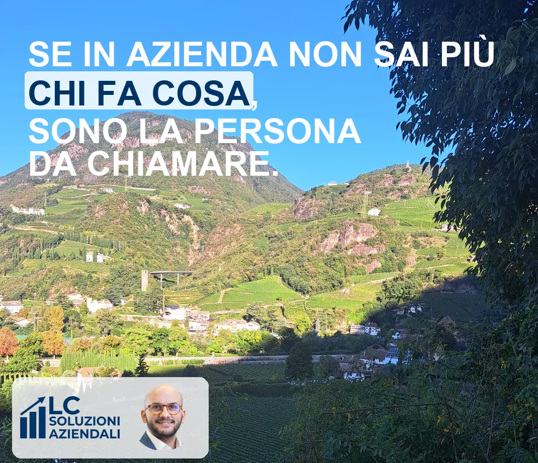 Se in azienda non sai più CHI FA COSA sono la persona da chiamare