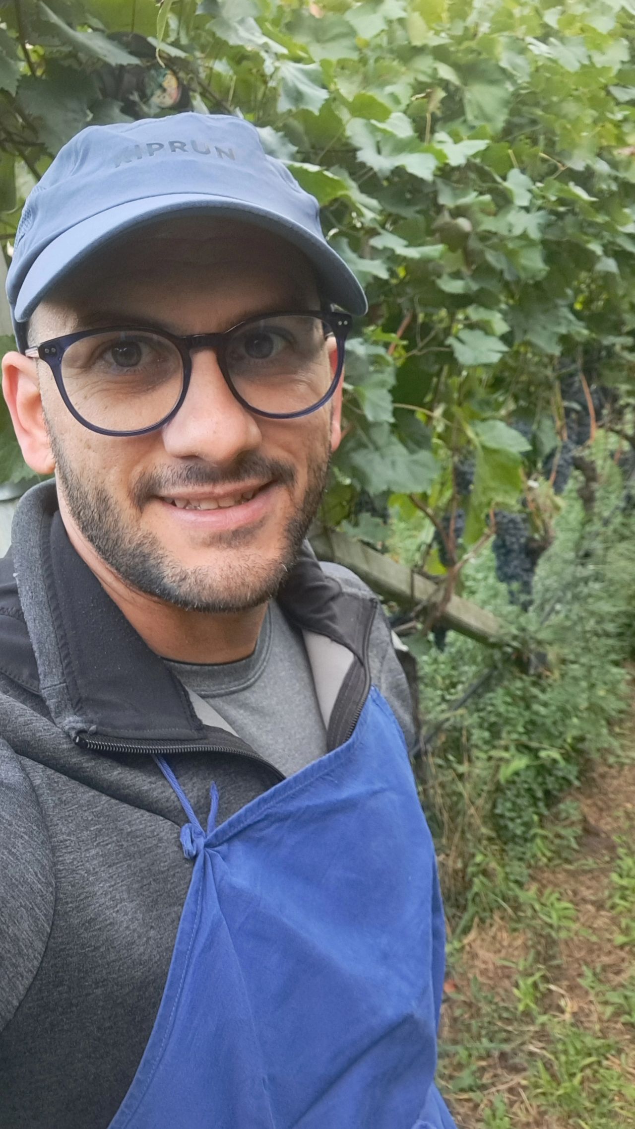 Leandro Capasso durante la vendemmia alla Kellerei St. Michael-Eppan